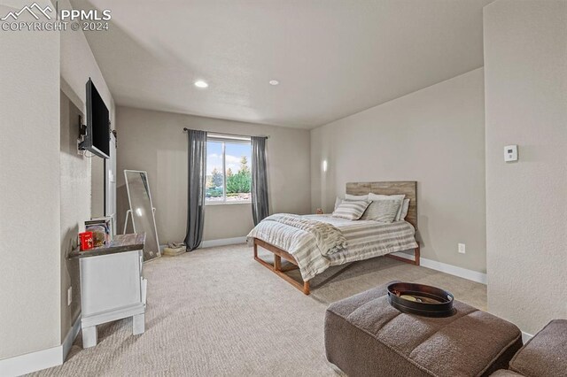 view of carpeted bedroom