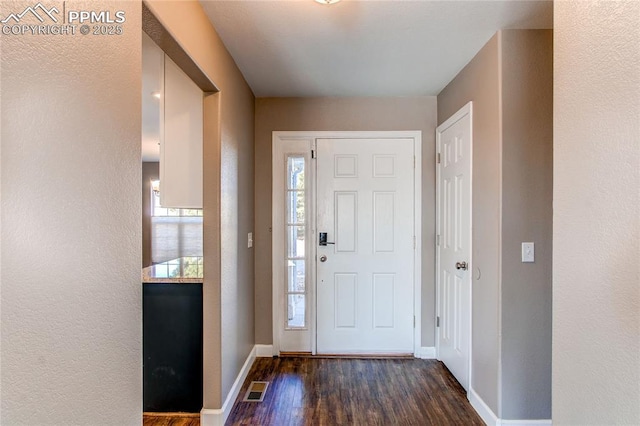 entrance foyer featuring dark hardwood / wood-style flooring and plenty of natural light