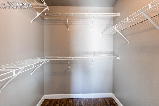 spacious closet featuring dark wood-type flooring