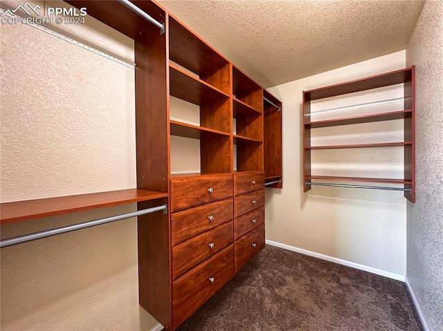 spacious closet featuring dark carpet