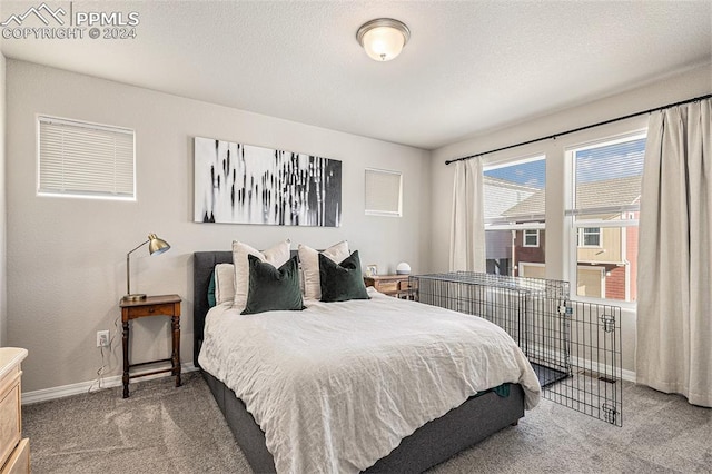 bedroom featuring carpet floors