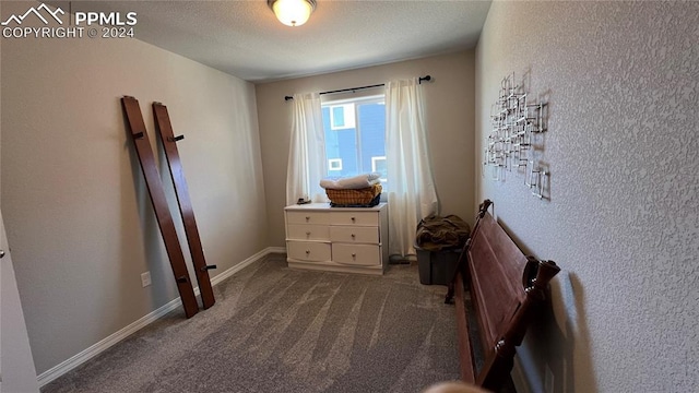 bedroom with carpet floors and a textured ceiling