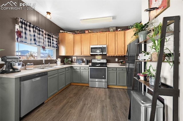 kitchen with light brown cabinets, sink, dark hardwood / wood-style floors, gray cabinets, and appliances with stainless steel finishes