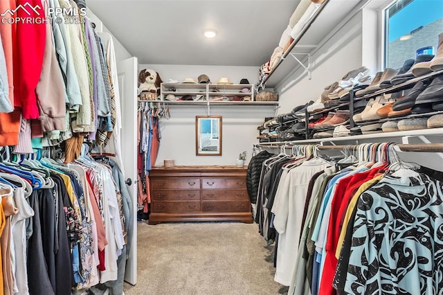 spacious closet with light carpet