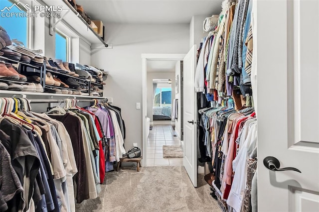 walk in closet with light colored carpet