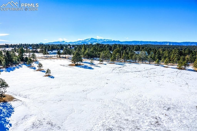 17875 Saddlewood Rd, Monument CO, 80132 land for sale