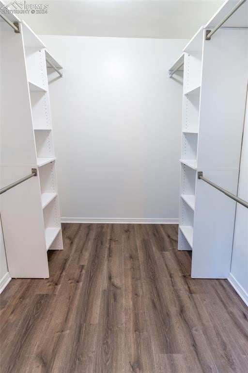 walk in closet with dark hardwood / wood-style floors