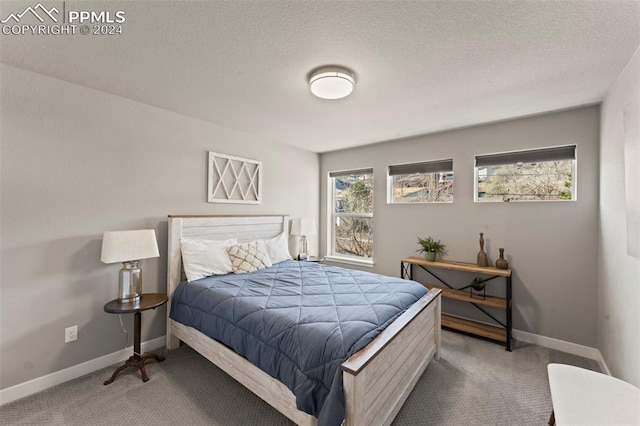 bedroom featuring carpet flooring, multiple windows, and a textured ceiling