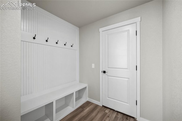 mudroom featuring dark hardwood / wood-style flooring