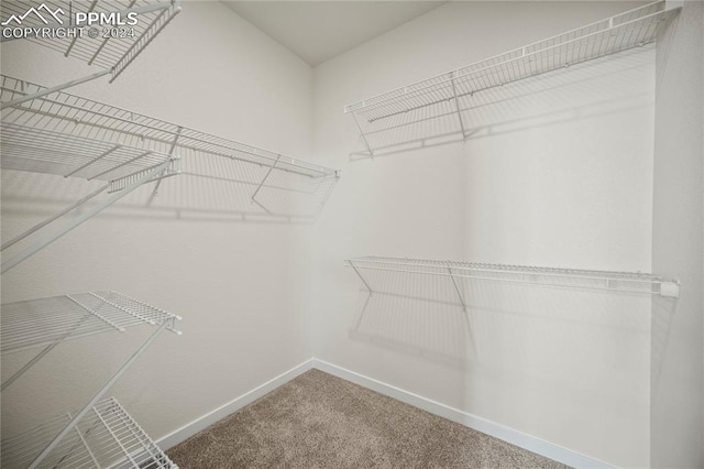 walk in closet with carpet