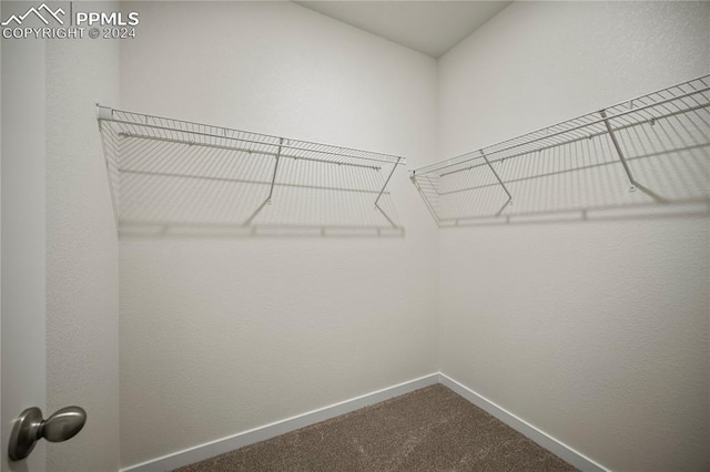 spacious closet featuring carpet flooring