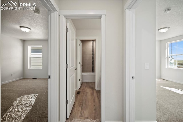 hall with a textured ceiling, plenty of natural light, and carpet floors