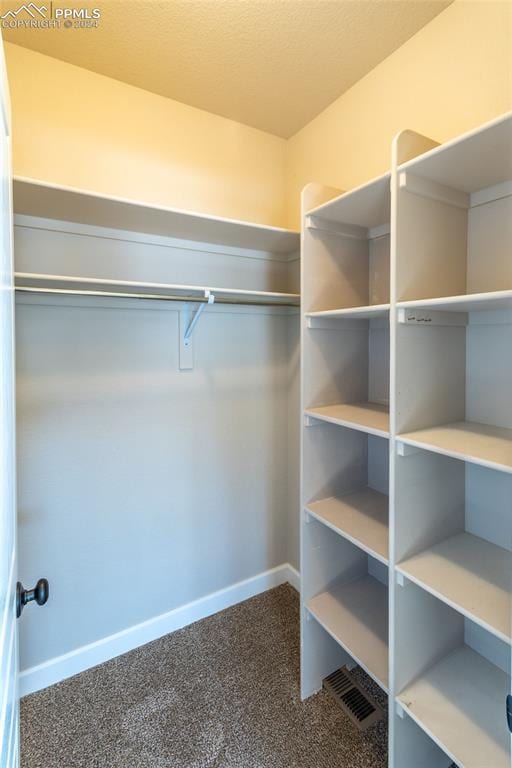 spacious closet featuring carpet