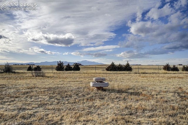 view of yard featuring a mountain view and a rural view