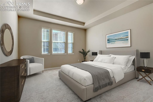 carpeted bedroom featuring a raised ceiling