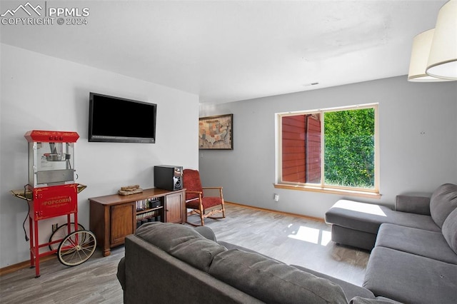 living room featuring light hardwood / wood-style floors