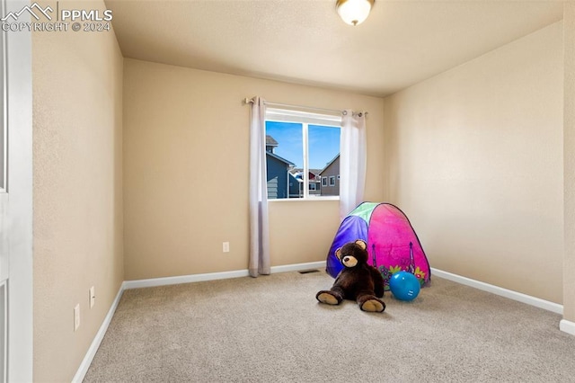 playroom featuring carpet floors