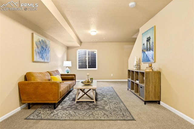 living room with carpet