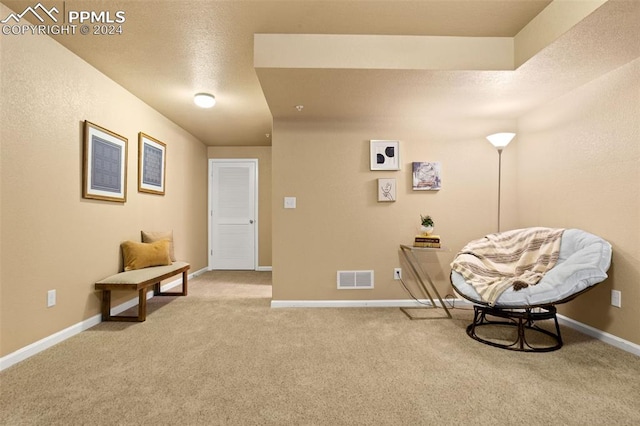 sitting room featuring a textured ceiling and carpet floors