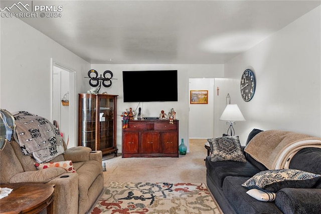 living room featuring light colored carpet