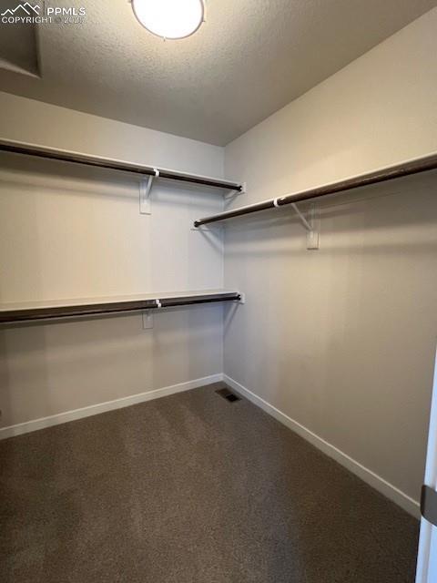 7010 Knapp Dr, Colorado Springs, CO 80924 - walk in closet with dark carpet