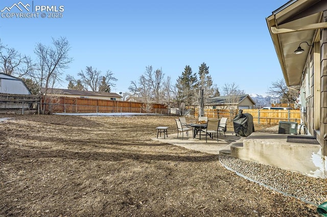 view of yard featuring a patio area