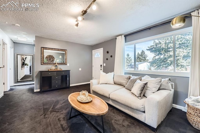 carpeted living room featuring track lighting and a textured ceiling