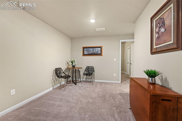 living area with light colored carpet