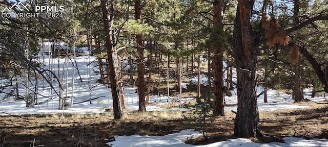 54 Garnet Way, Florissant CO, 80816 land for sale