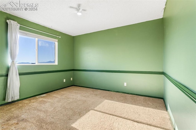 unfurnished room with carpet floors and a textured ceiling