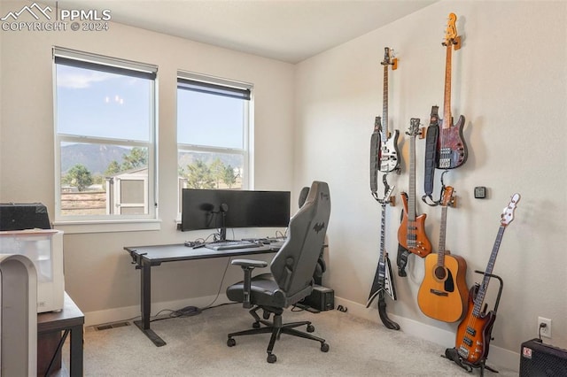 office featuring plenty of natural light and light carpet