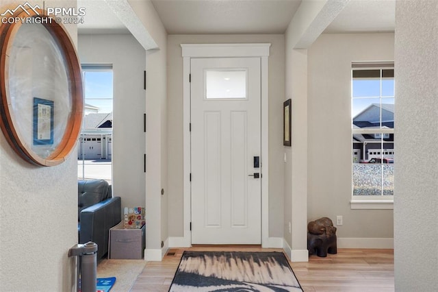 foyer with light hardwood / wood-style floors