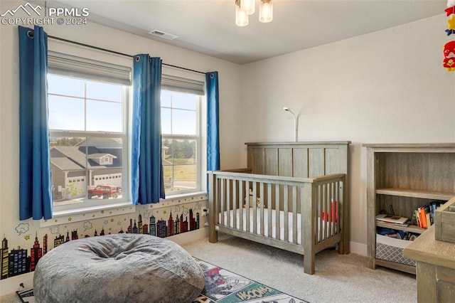 bedroom featuring multiple windows and carpet floors