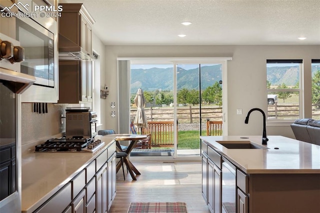 kitchen with appliances with stainless steel finishes, a kitchen island with sink, plenty of natural light, and sink