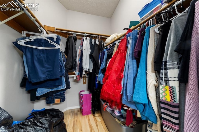 spacious closet featuring wood-type flooring