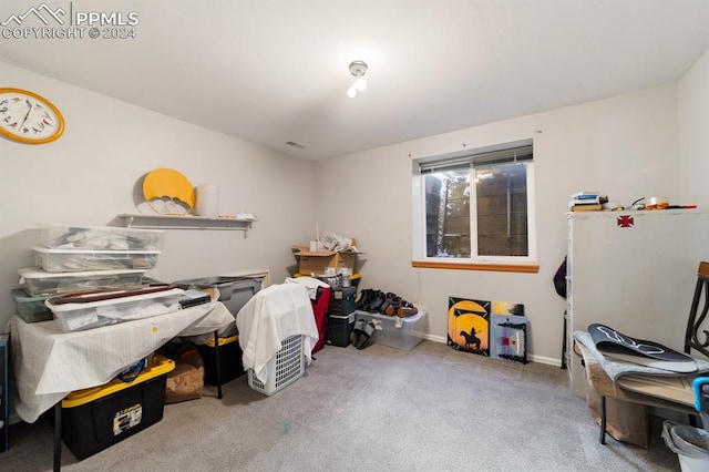 miscellaneous room with carpet floors