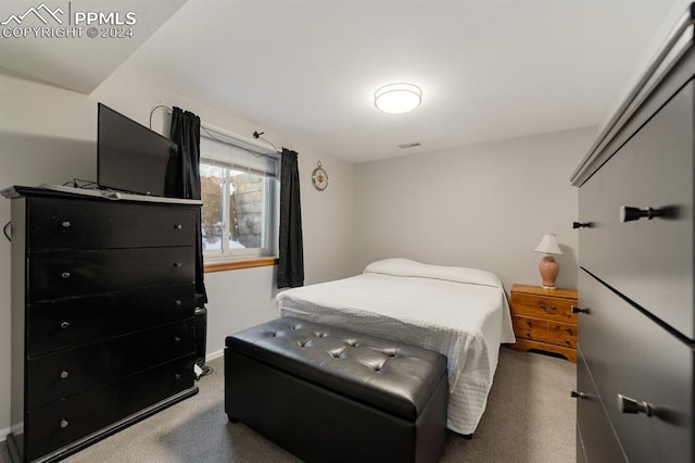 bedroom with carpet flooring