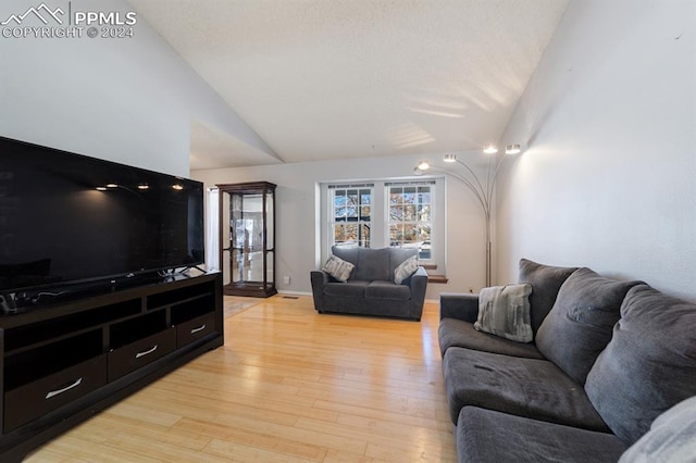 living room featuring light wood-type flooring and vaulted ceiling