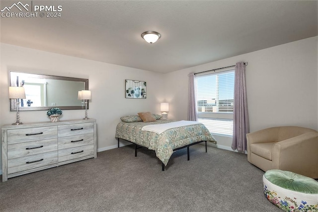 bedroom featuring carpet