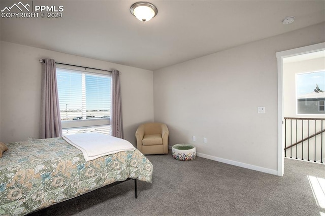 view of carpeted bedroom