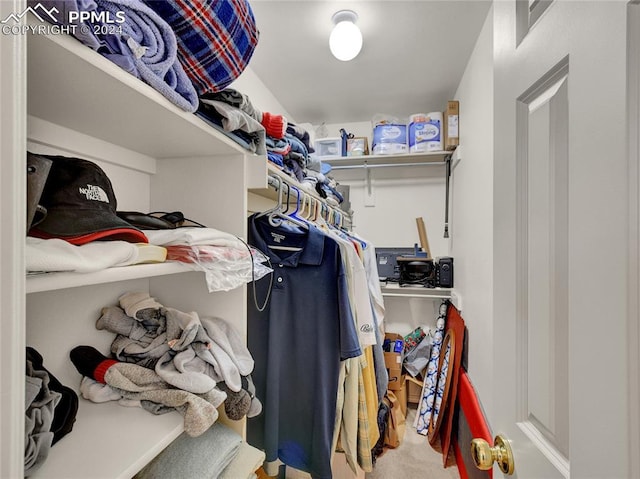 walk in closet with carpet flooring