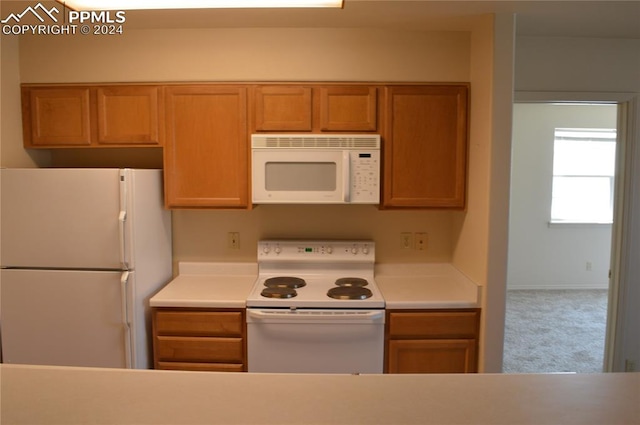 kitchen featuring white appliances and carpet floors