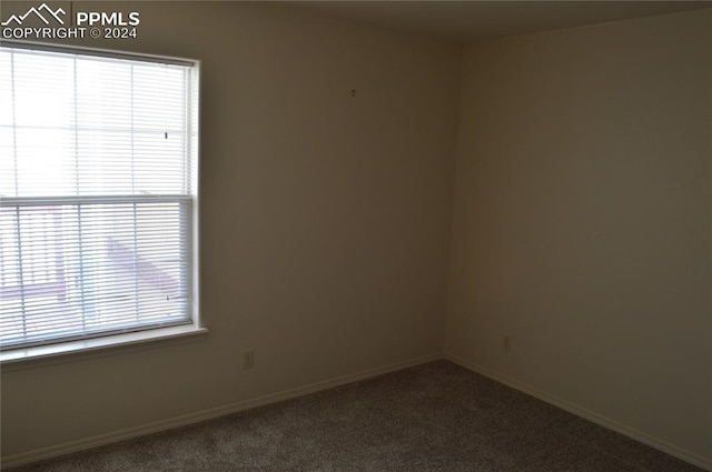 empty room with carpet flooring