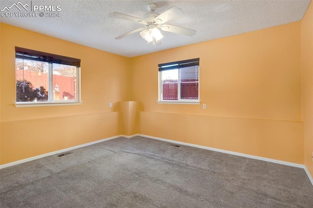 carpeted spare room with a healthy amount of sunlight and a textured ceiling