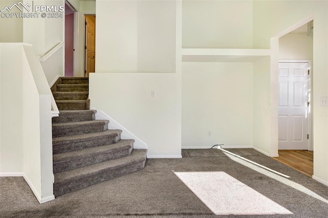 staircase featuring carpet