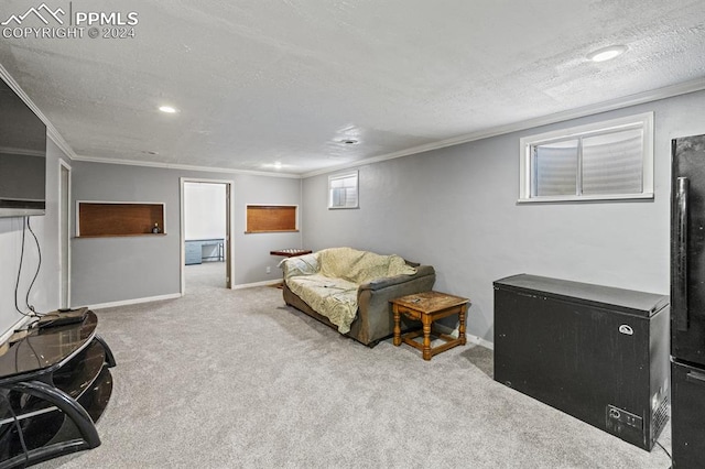 carpeted living room with a textured ceiling and crown molding