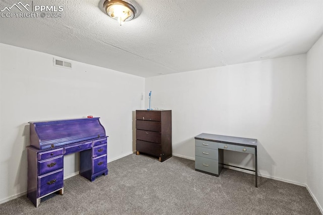 misc room featuring light carpet and a textured ceiling