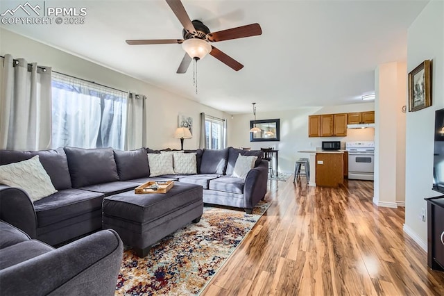 living room with ceiling fan and light hardwood / wood-style flooring