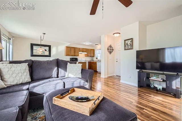 living room featuring ceiling fan, light wood-type flooring, and a wealth of natural light