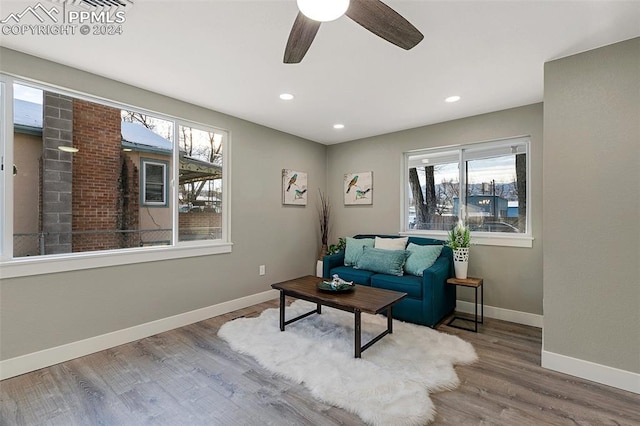 living room with hardwood / wood-style flooring and ceiling fan